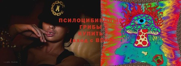 меф Алексин
