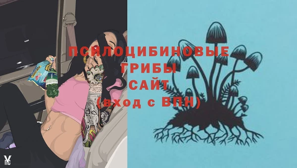 амф Алексеевка