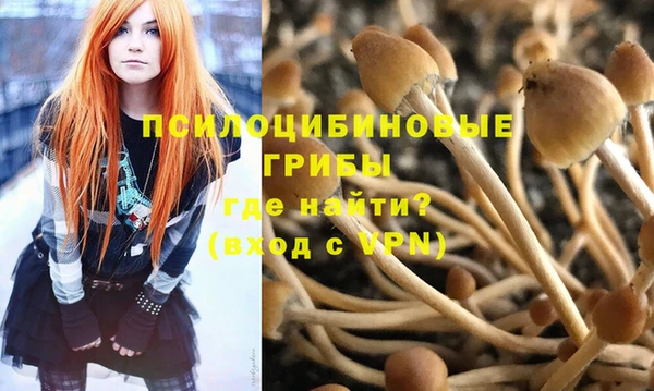 меф Алексин