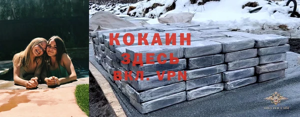 амф Алексеевка