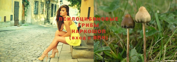 амф Алексеевка